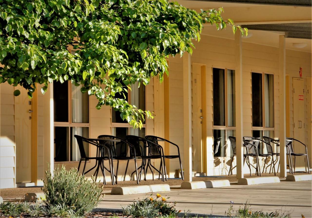 Pittsworth Motor Inn Zewnętrze zdjęcie